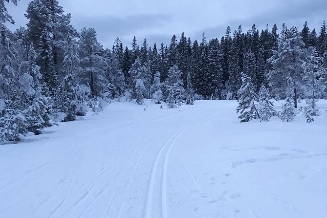 Skiing in winter wonderland - What the price gives you