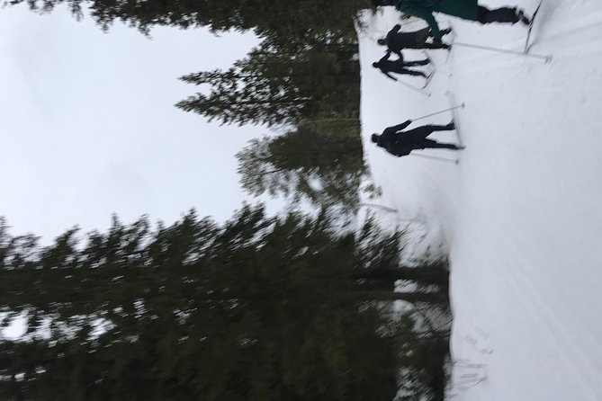 Skiing in winter wonderland - Who will get the most from this outing
