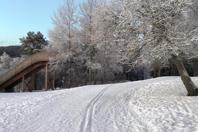 Skiing in winter wonderland - Is this Trondheim ski tour worth booking?