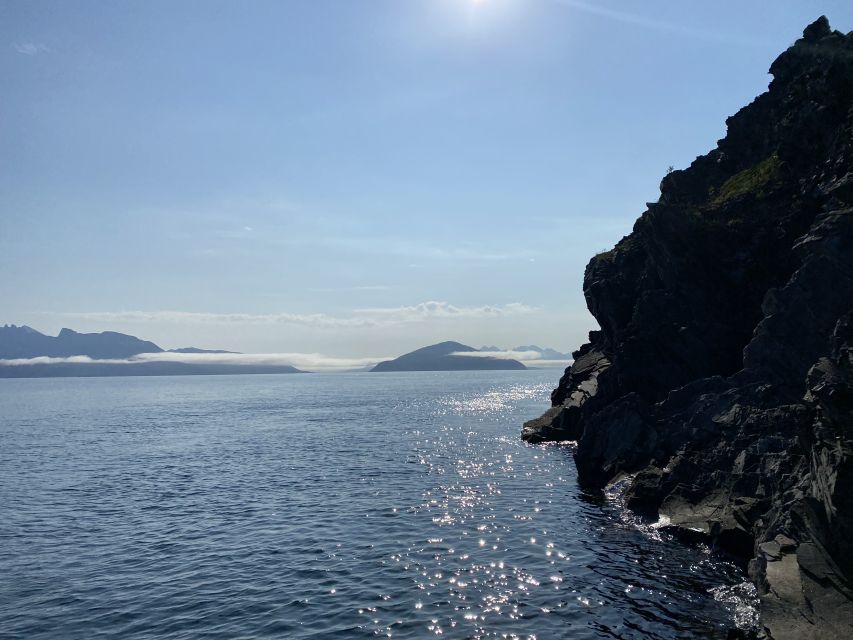 Skjervøy: Birds and Wildlife of Arctic Norway - Should you book Birds and Wildlife of Arctic Norway?