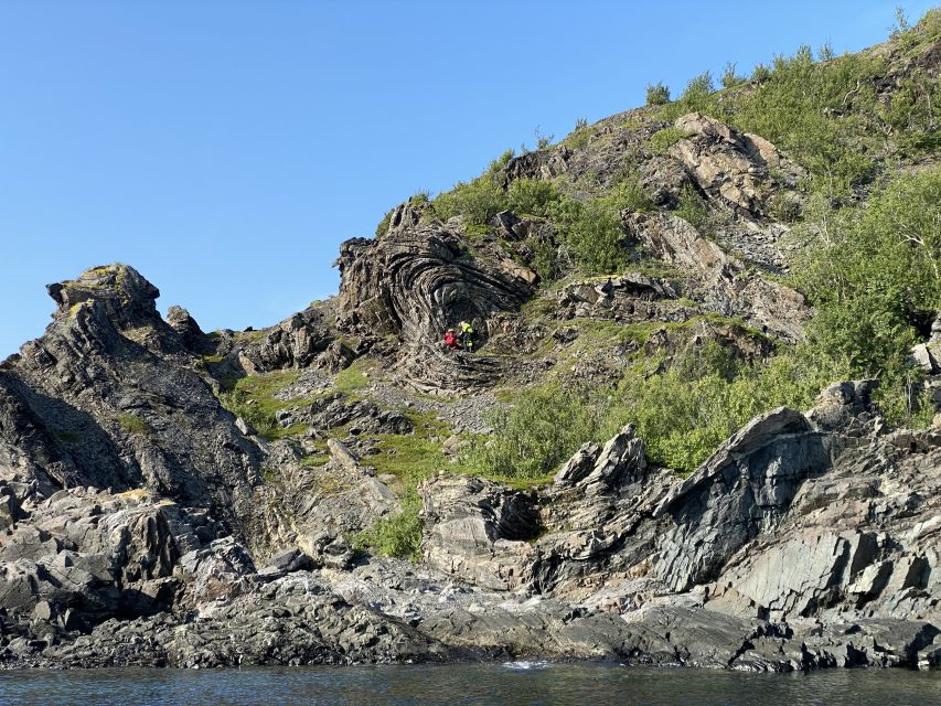 Skjervøy: Birds and Wildlife of Arctic Norway - A RIB ride built around real Arctic conditions