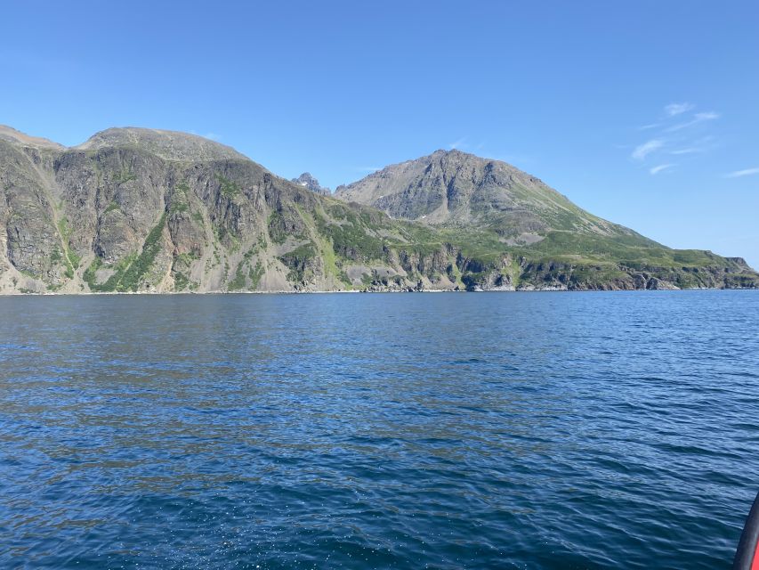 Skjervøy: Birds and Wildlife of Arctic Norway - Cold-weather gear and comfort on board