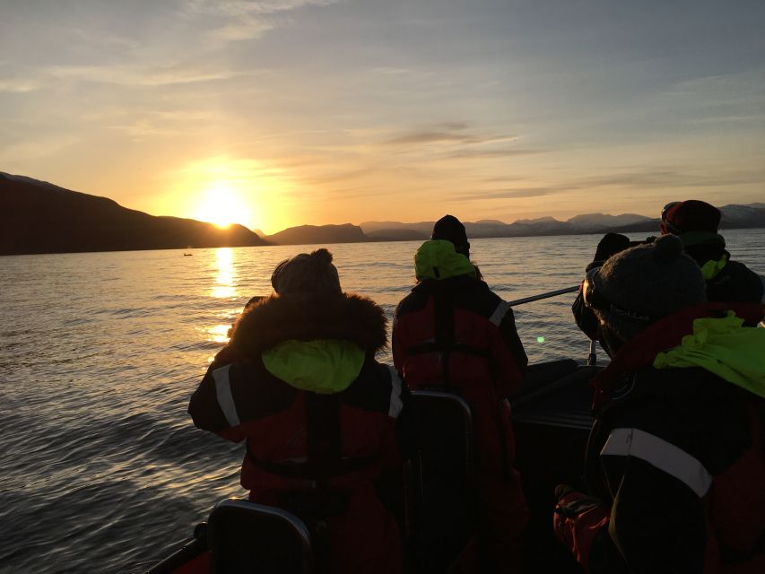 Skjervøy: Birds and Wildlife of Arctic Norway - Is $165 a fair price?