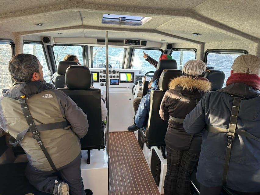 Skjervøy: Orca and Whale-Watching comfort heated Boat Trip - Heading into the Arctic waters