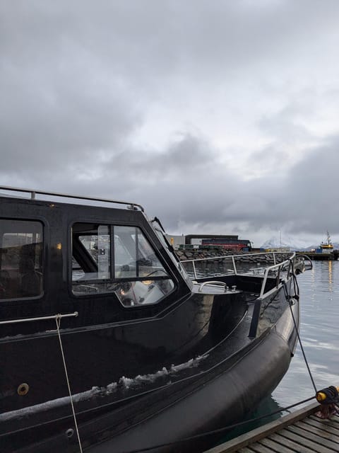 Skjervøy: Orca and Whale-Watching comfort heated Boat Trip - Meeting at the Skua Nature banner