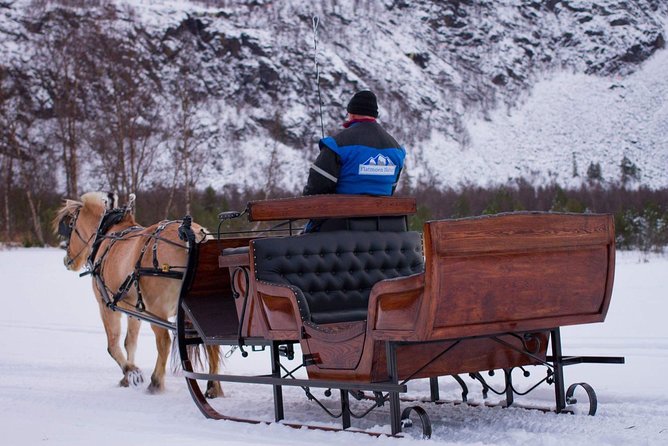 Sleigh or wagon ride in the arctic Country side - Key things to know before booking