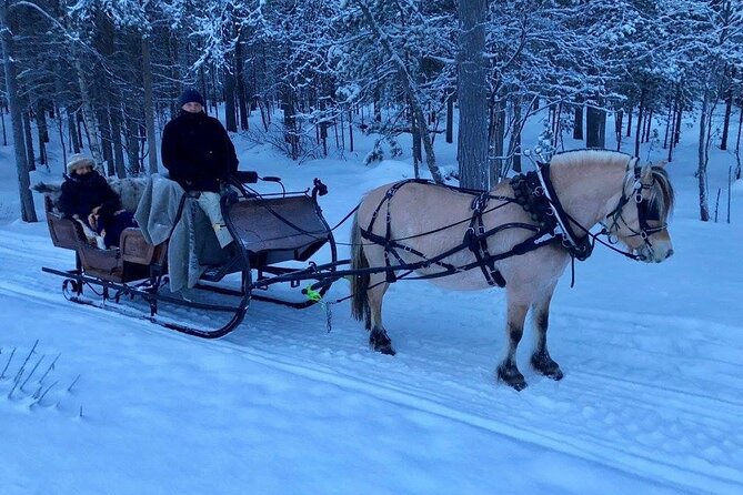Sleigh or wagon ride in the arctic Country side - The fire hut and northern snacks