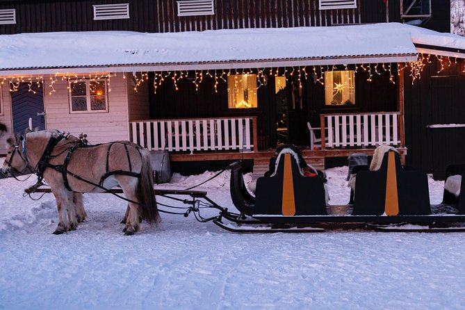 Sleigh Ride w/ snacks - Experience Arctic Farm Life - From Alta to a family farm in the valley