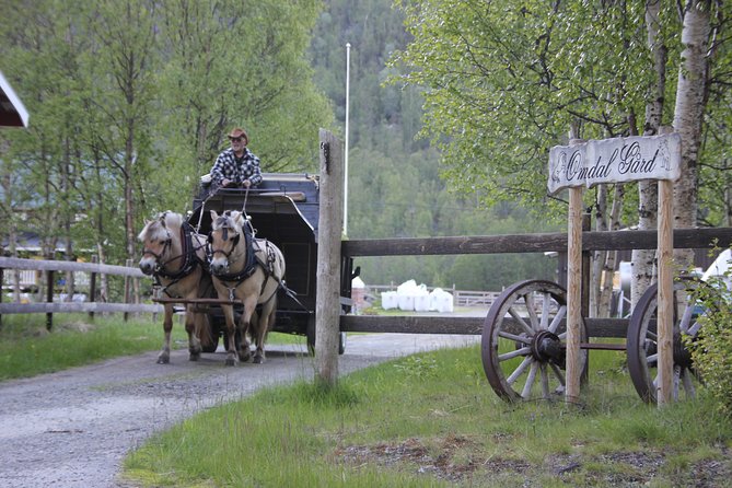 Sleigh Ride w/ snacks - Experience Arctic Farm Life - The Northern Lights are a bonus, not the plan