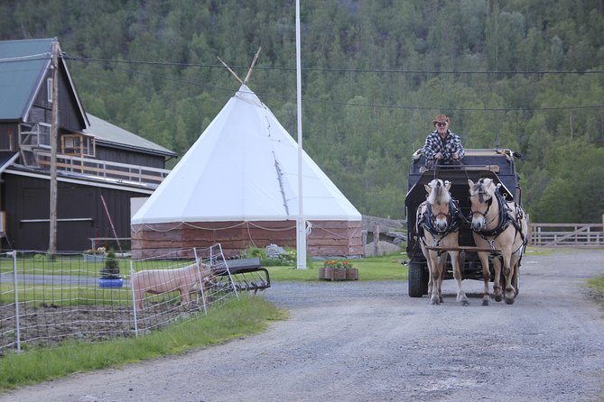Sleigh Ride w/ snacks - Experience Arctic Farm Life - Weather, clothing, and seasonal planning