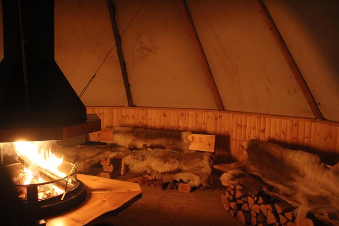 Sleigh Ride w/ snacks - Experience Arctic Farm Life - Who should book this Alta outing?