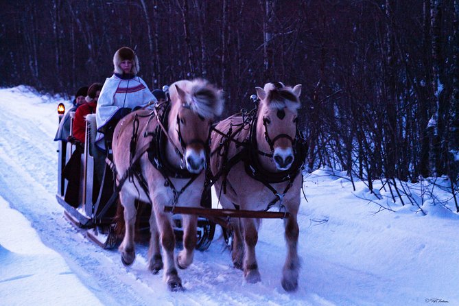 Sleigh Ride w/ Tapas Meal - Experience Arctic Farm Life - Is the $236.79 price fair?
