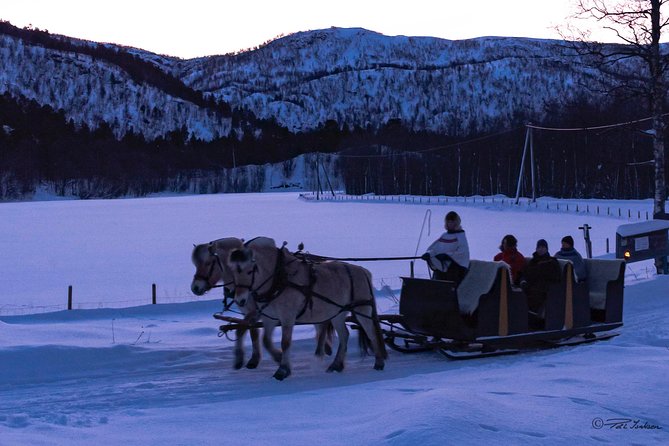 Sleigh Ride w/ Tapas Meal - Experience Arctic Farm Life - Who will enjoy this Alta farm experience?