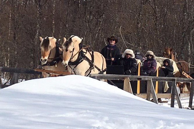 Sleigh Ride w/ Tapas Meal - Experience Arctic Farm Life - Should you book the sleigh ride and tapas meal?