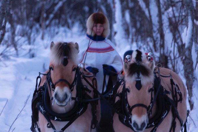Sleigh Ride w/ Tapas Meal - Experience Arctic Farm Life - Snow changes the ride, not the day