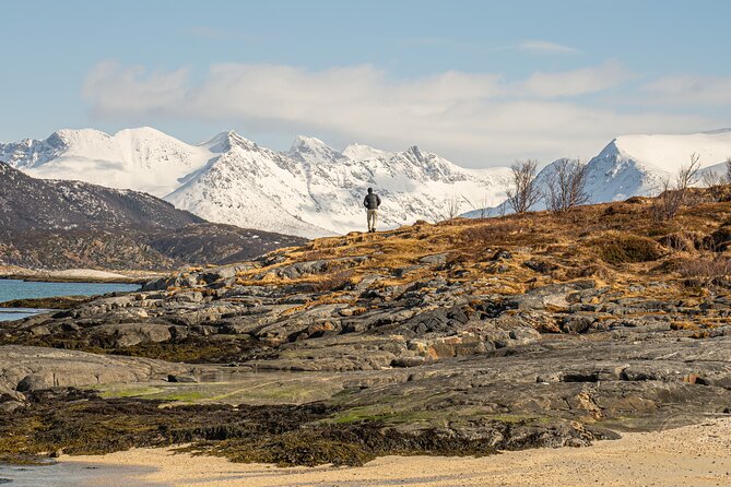 Small Group Arctic Fjords Road trip with Scenic Picnic - Wildlife watching without a guarantee