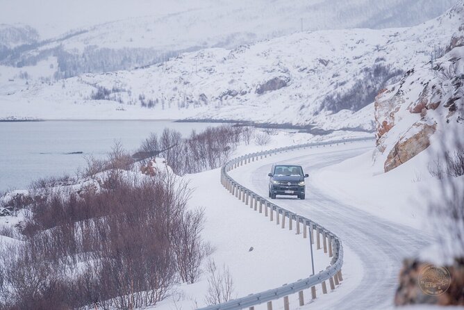 Small Group Arctic Fjords Road trip with Scenic Picnic - A practical picnic with vegan-friendly food