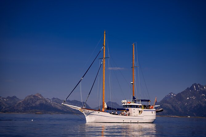 Small Group Luxury Cruise to Trollfjord on a 33m Classic Yacht - Salmon soup, coffee, and a warm break