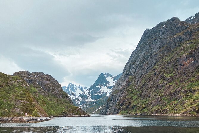 Small Group Luxury Cruise to Trollfjord on a 33m Classic Yacht - Is $352.64 good value?