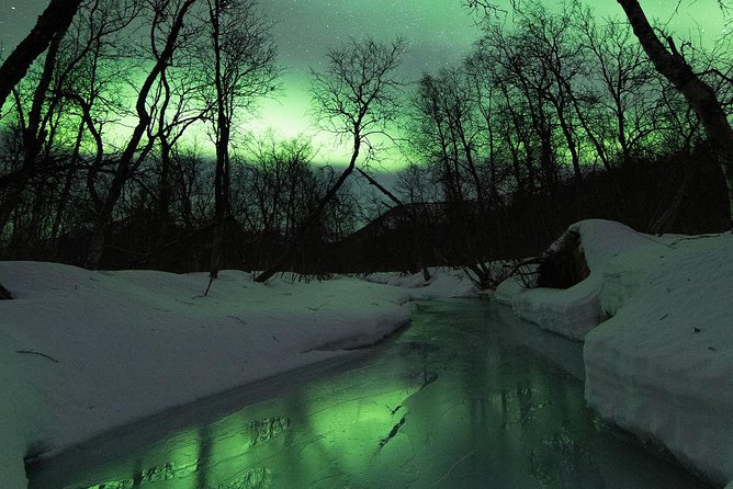 Small-Group Northern Lights Tour from Tromso with Photos - Fires, cake, and the cold