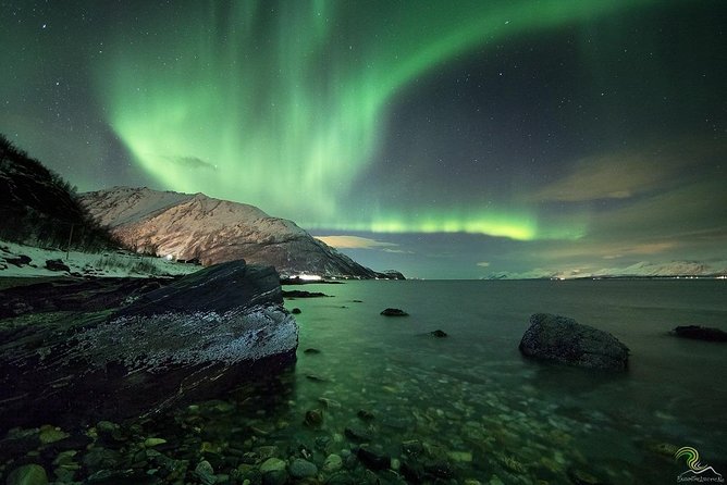 Small-Group Northern Lights Tour from Tromso with Photos - How the guide affects the experience
