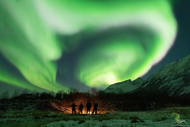 Small-Group Northern Lights Tour from Tromso with Photos - Who should book this Northern Lights tour