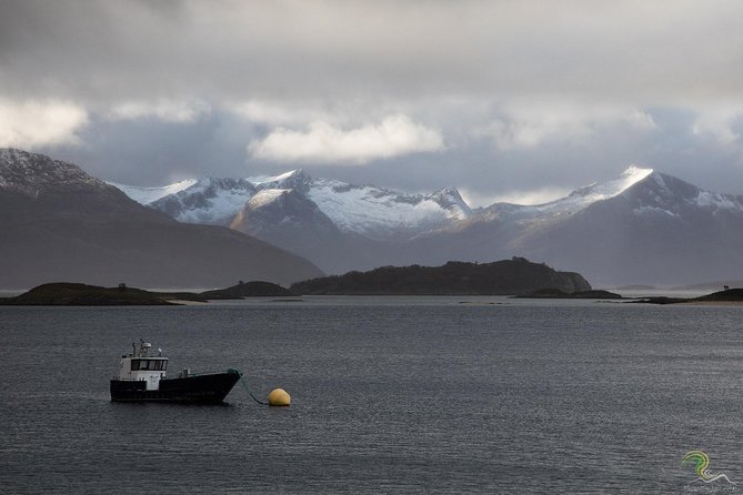 Small-Group Norwegian Fjords Tour from Tromso with Photos - Why this Tromso fjord tour works well