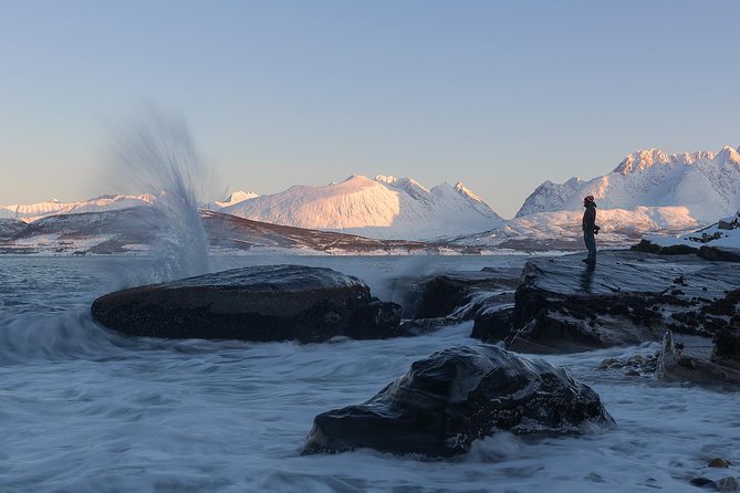 Small-Group Norwegian Fjords Tour from Tromso with Photos - Reindeer, beaches, and changing winter light