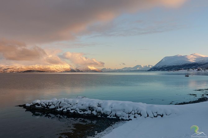 Small-Group Norwegian Fjords Tour from Tromso with Photos - The drive into Norway’s fjord country