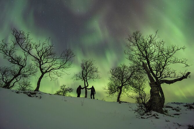 Small Group Quest to find the Northern Lights in Tromsø - A small group makes the long night easier