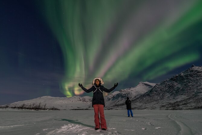 Small Group Tromsø: Northern Lights Chase with Photos and Dinner - Is $237.32 good value?