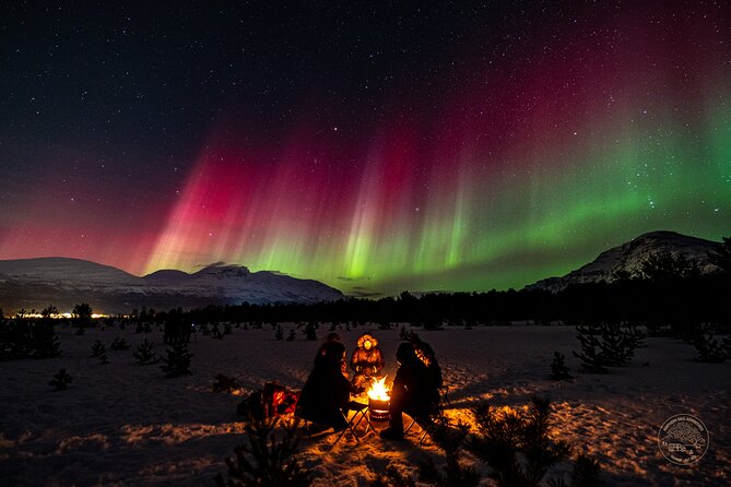 Small Group Van Journey in Search of the Northern Lights - Why this Northern Lights chase works differently