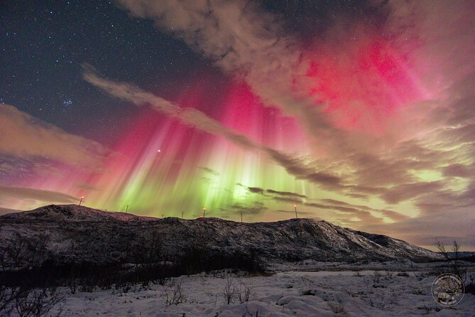 Small Group Van Journey in Search of the Northern Lights - Thermal suits, heated insoles, and the comfort factor