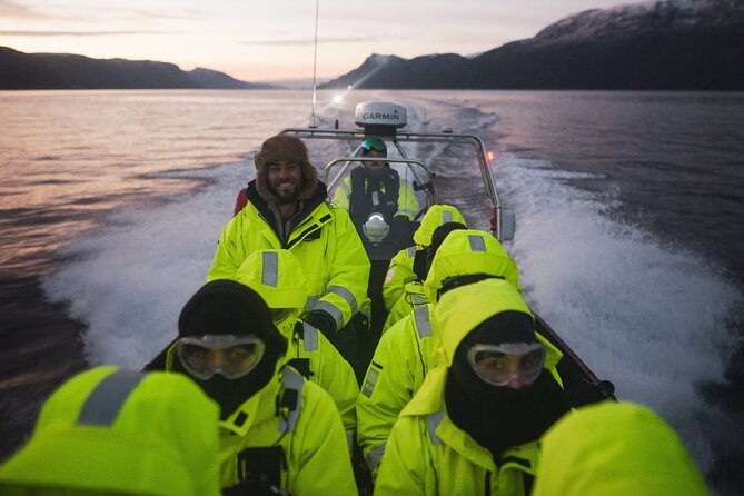 Small Group Whale Watching by RIB - Why Alta is a strong place for a whale safari