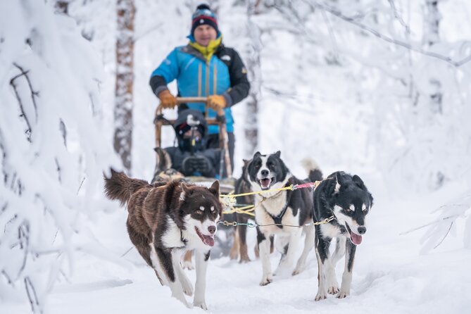 Small Group Wilderness Husky Sledding 2h from Tromsø (car needed) - Warming up beside the fire