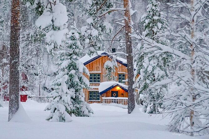 Small Group Wilderness Husky Sledding 2h from Tromsø (car needed) - Is the $406.56 price fair?
