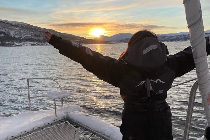 Snorkeling with Orcas In Norway, 4 days All-Inclusive expedition - The Search for Orcas and Humpback Whales