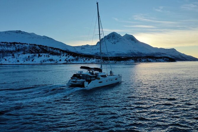 Snorkeling with Orcas In Norway, 4 days All-Inclusive expedition - Safety Comes Before the Perfect Photograph