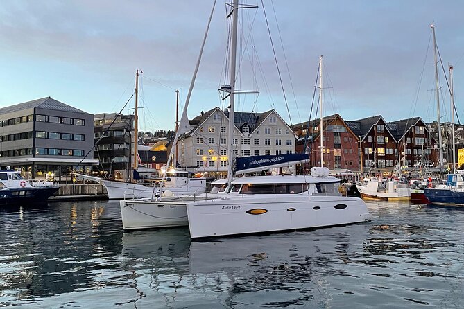 Snorkeling with Orcas In Norway, 4 days All-Inclusive expedition - Who Will Get the Most From This Trip