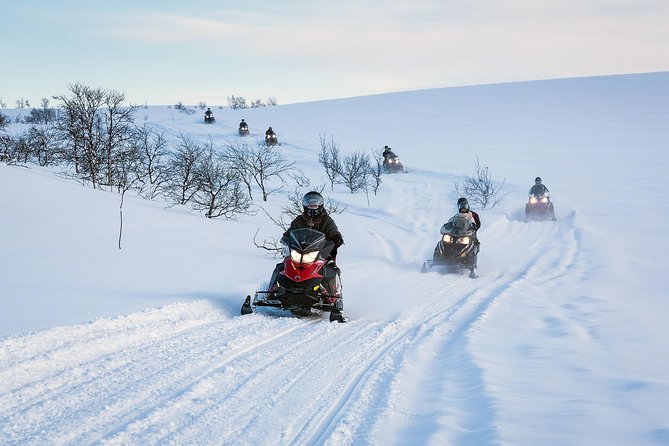 Snowmobile safari in the mountain plateau of Finnmarksvidda - Key points to know before you book