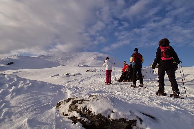 Snowshoe Hill Hike in Tromsø - Why this snowshoe hike feels different from a city tour