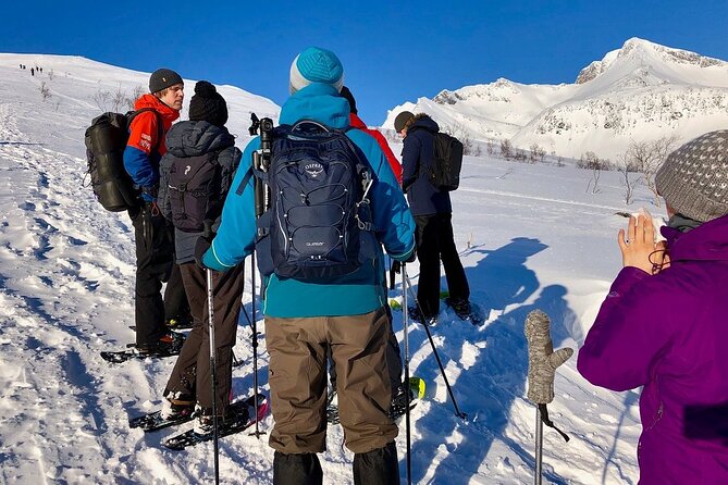 Snowshoe Hill Hike in Tromsø - The climb to a roughly 400-meter summit
