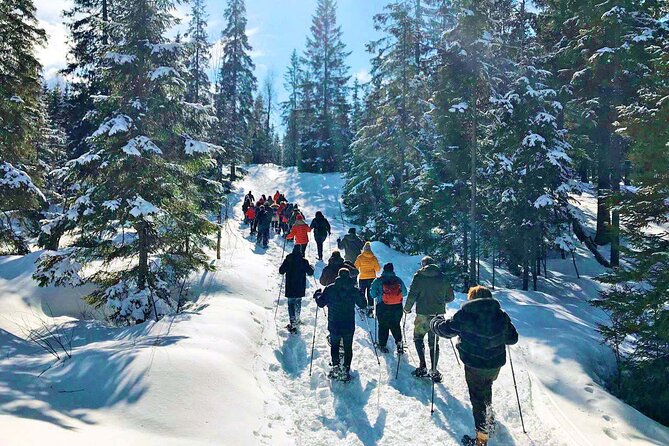 Snowshoe Tour in Winter Wonderland - Oslo - What the guide adds to the walk