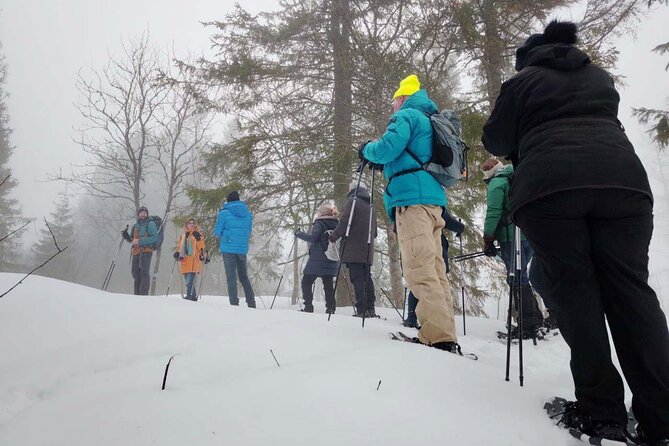 Snowshoe Tour in Winter Wonderland - Oslo - Clothing, food, and what you must bring