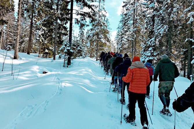 Snowshoe Tour in Winter Wonderland - Oslo - Who will enjoy this Oslo winter outing?