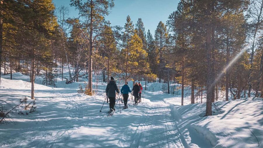 Snowshoeing Adventure to the Enchanting Frozen Waterfall - Why the Gargia Valley setting adds value