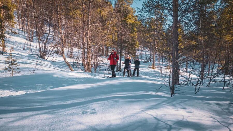 Snowshoeing Adventure to the Enchanting Frozen Waterfall - Is $187 a fair price?