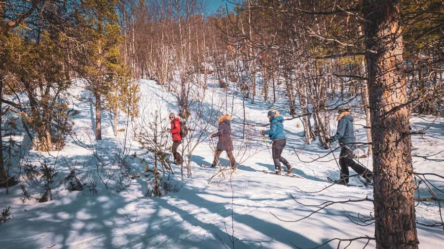 Snowshoeing Adventure to the Enchanting Frozen Waterfall - Who should book this Alta snowshoe adventure?