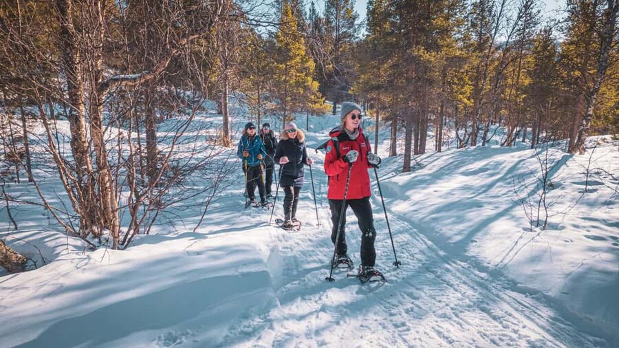 Snowshoeing Adventure to the Enchanting Frozen Waterfall - Should you book it?
