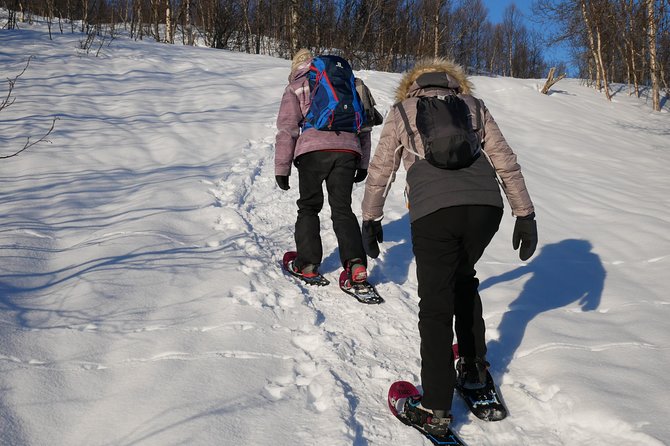 Snowshoeing With A View - The view from 450 meters